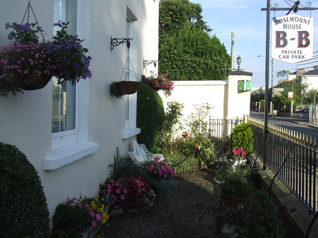 Rosemount House B&B COUNTY WEXFORD Eksteriør billede